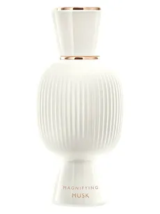 الگرا مگنیفاین ماسک اسنسAllegra Magnifying Musk Essence Bvlgari for women