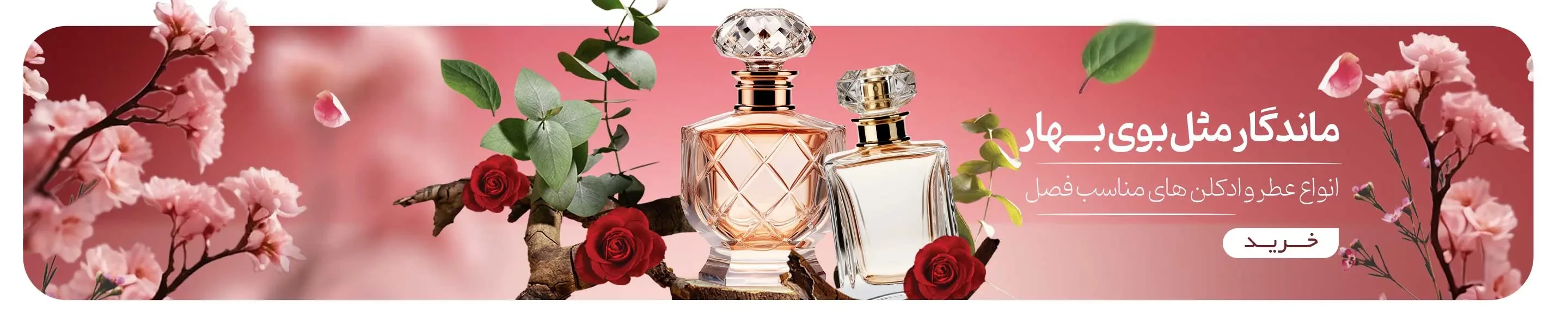 تصویر اسلایدشو